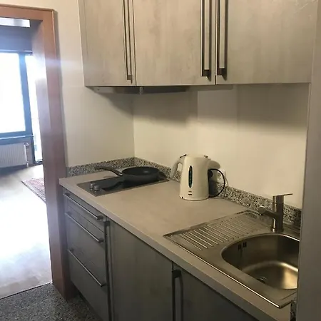 Fuer Pendler Und Monteure Oder Zum Erholen Appartement *